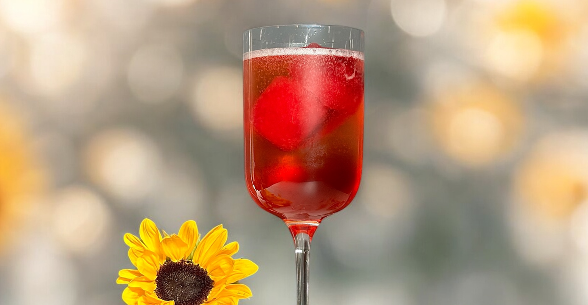 Cran-Rose Aperol Spritz – Mixicles