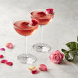 Load image into Gallery viewer, Cranberry Rose Mixicles cocktails