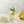 Load image into Gallery viewer, Elderflower Lemon Mint cocktail
